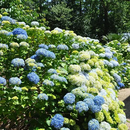 Chambres D'hotes Nere Chocoa Pensjonat Biarritz