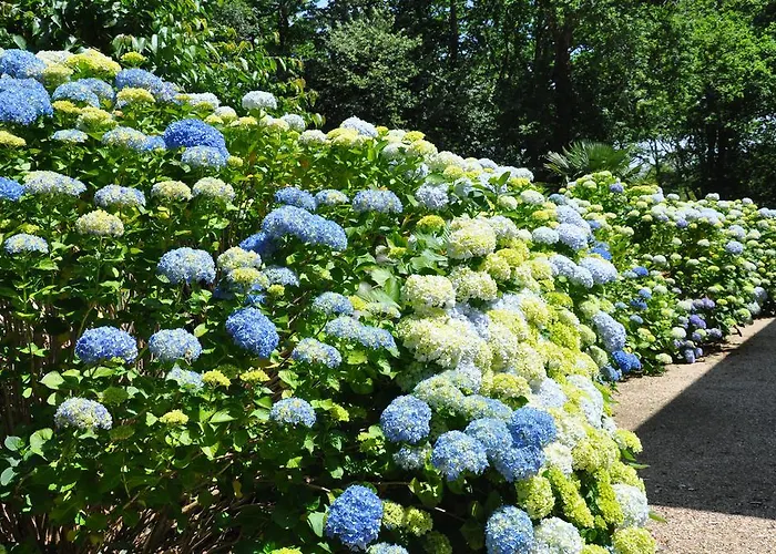 Chambres D'hotes Nere Chocoa Casa de hóspedes Biarritz